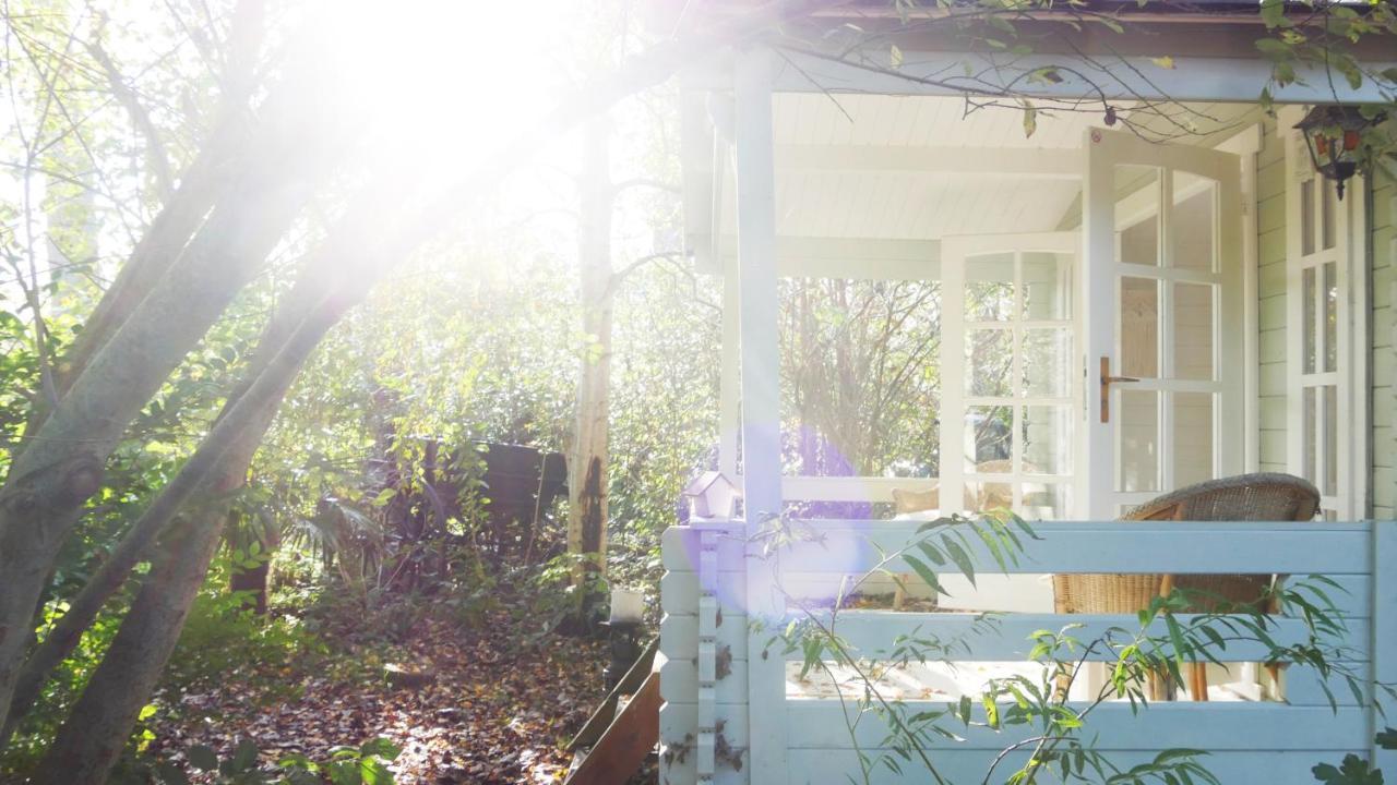 Bamboo Lodge 格罗宁根 外观 照片