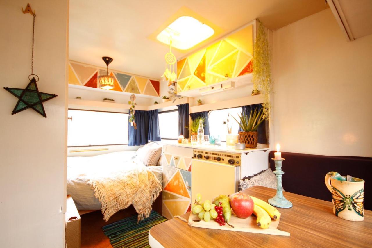 Bamboo Lodge 格罗宁根 外观 照片
