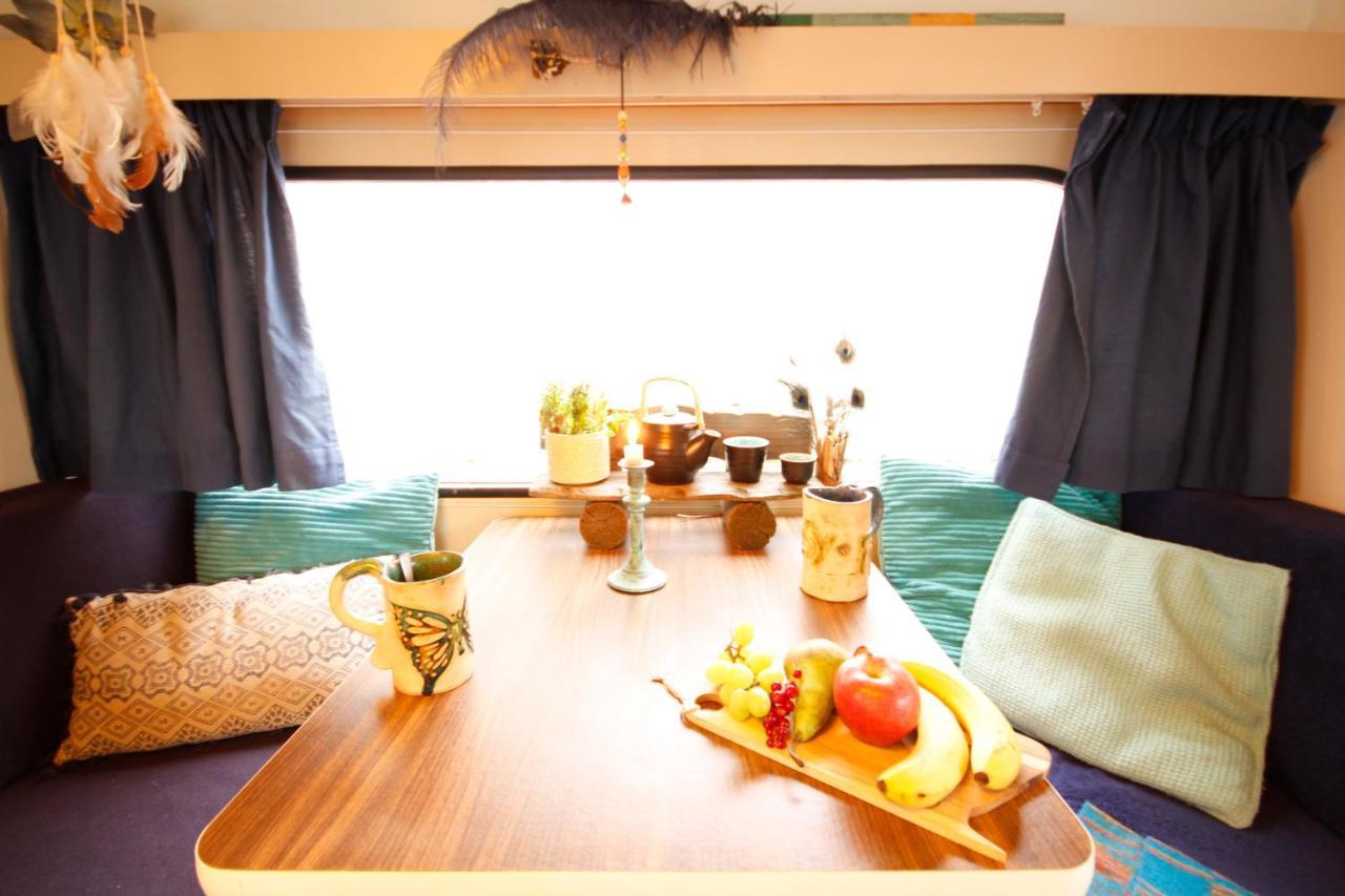 Bamboo Lodge 格罗宁根 外观 照片