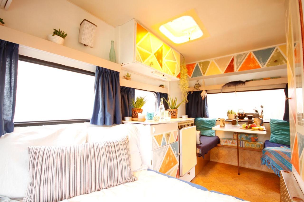 Bamboo Lodge 格罗宁根 外观 照片