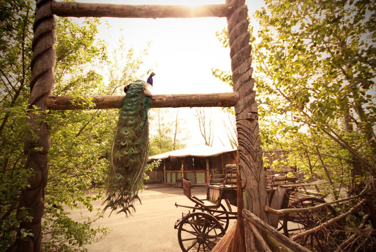 Bamboo Lodge 格罗宁根 外观 照片